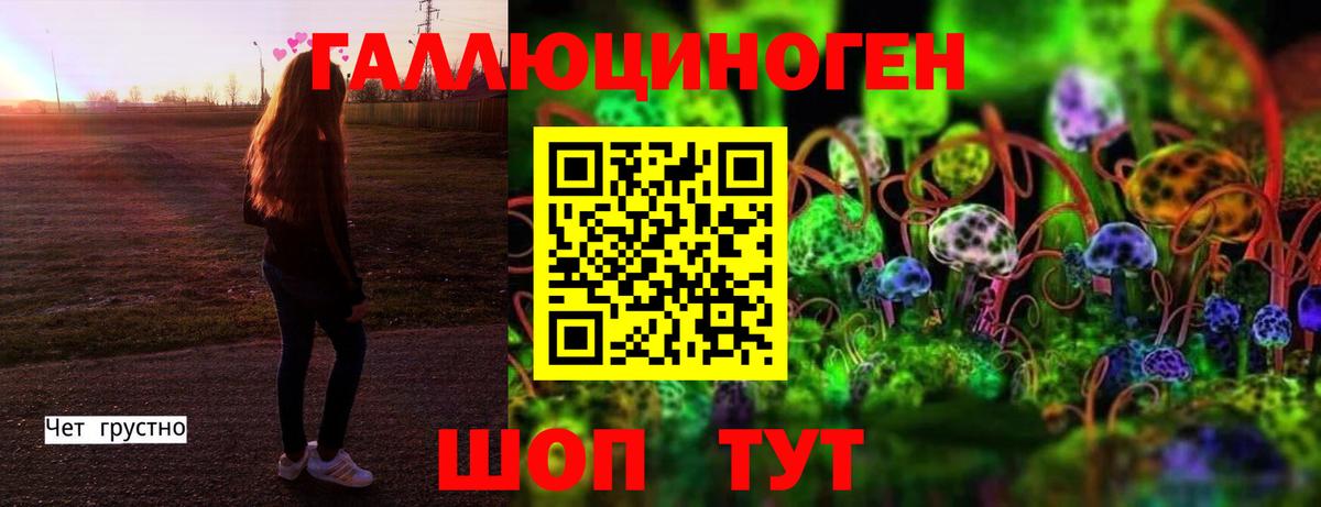Псилоцибиновые грибы Cubensis Кушва
